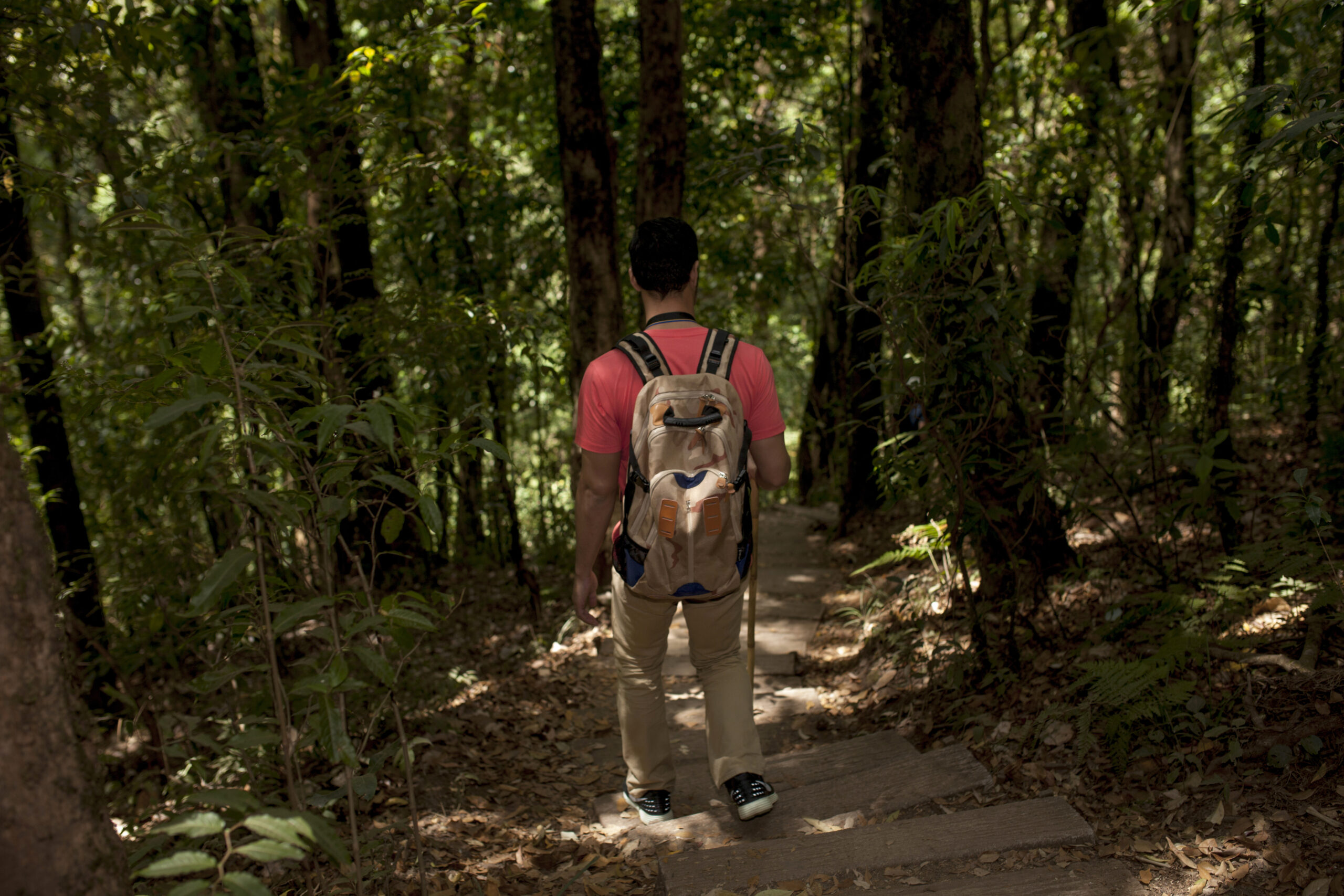 Amenities hiker path forest